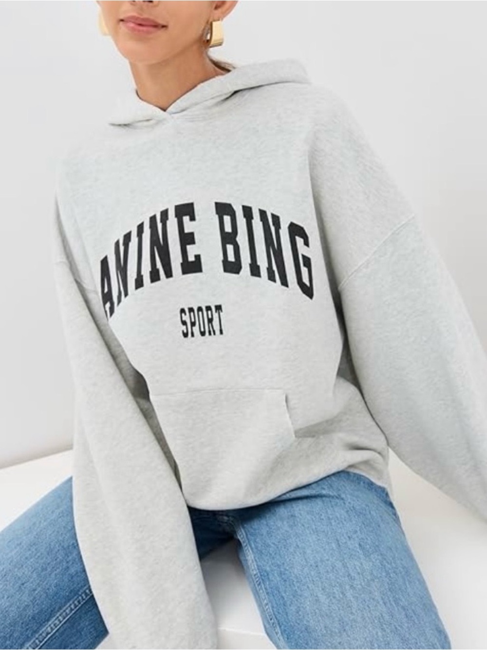 Anine Bing Harvey Hoodie